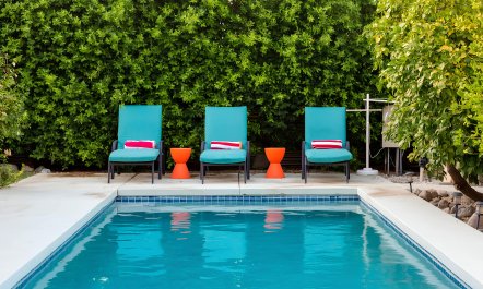 Palm Springs Bliss 0