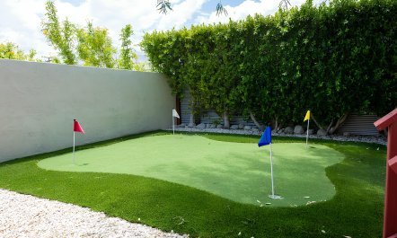 Palm Springs Bliss 1