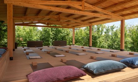 Piedmont Retreat 1