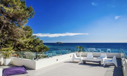 The Handle of a Trap 0