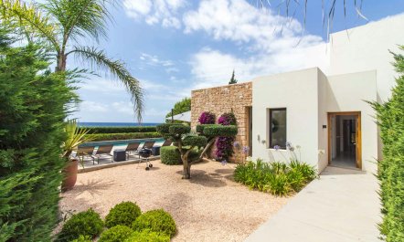 The Handle of a Trap 1