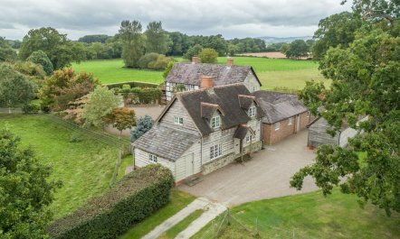 Buttercups & Roses 0