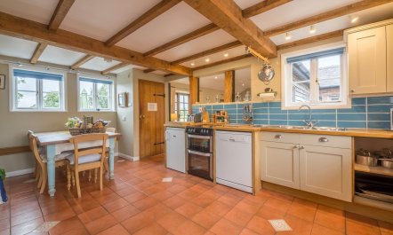 Buttercups & Roses 3