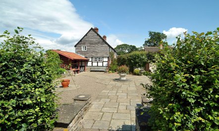 Buttercups & Roses 1