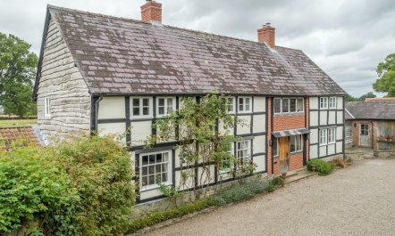 Buttercups & Roses 0