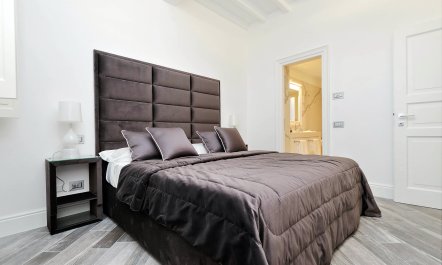 The Modern Roman 8