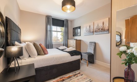 Putney Star 8