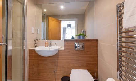 Putney Star 6