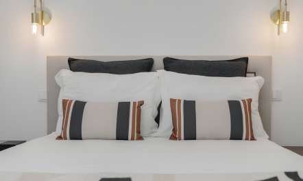 Sophisticated Oasis 0