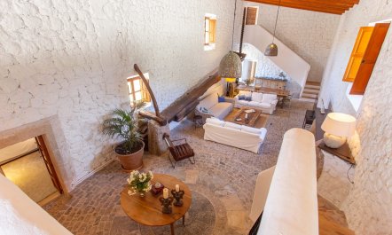 Palma Olive 3