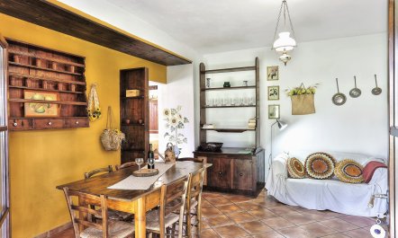 Tuscan Travels 5