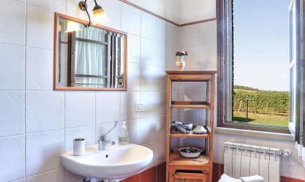 Tuscan Travels 8