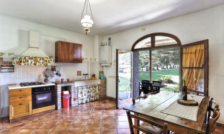 Tuscan Travels 4