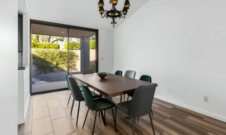 Vibrant Desert Oasis 4