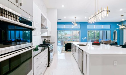 The Pinecone Breeze 4