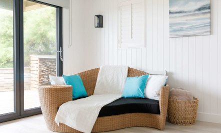 The Shell Collector 1