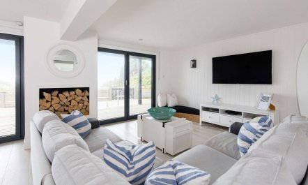 The Shell Collector 5