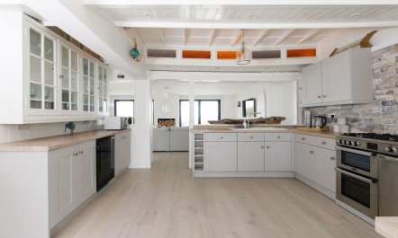 The Shell Collector 3