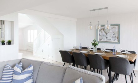 The Shell Collector 1