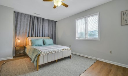 Treetop Tranquility 2