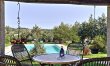 Sun On The Vines 3