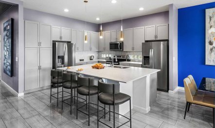 The Princess Paradise 6