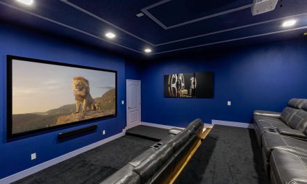 The Pineapple Gate 6