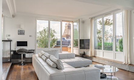 Eiffel Vistas 1