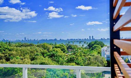 Luxury Oasis in the Design District 2