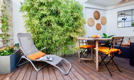 Tangerines on the Terrace
