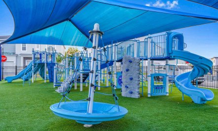 Seminole Superstition 2