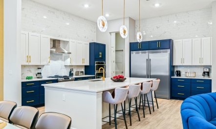 Sunshine on the Oleanders 3