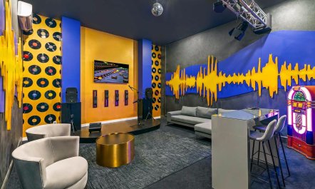 Sunshine on the Oleanders 6