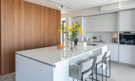 Shine like the Moon 1