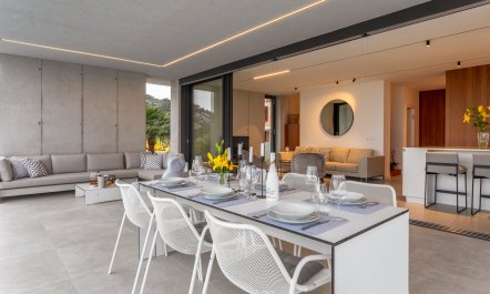 Shine like the Moon 3