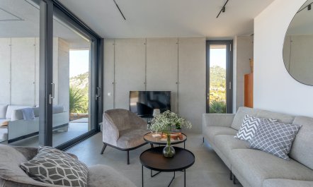 Shine like the Moon 4