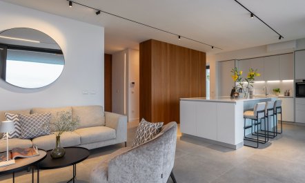 Shine like the Moon 0