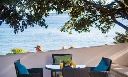 The Magnificent Mind 0