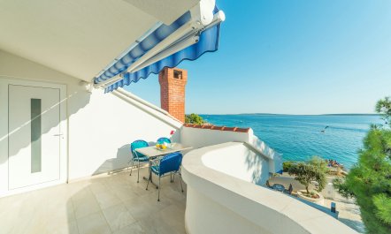 The Magnificent Mind 0