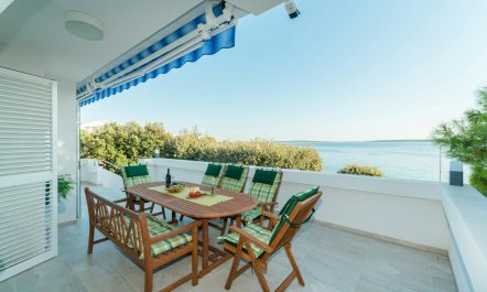 The Magnificent Mind 1