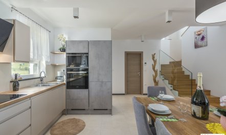 The Marčana Vineyard