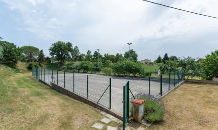 Rustic Istrian Retreat 2