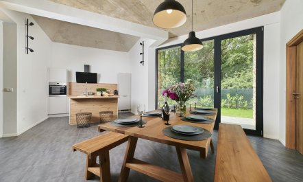 The Dreamer's Song 1