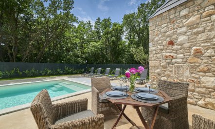 The Dreamer's Song 0