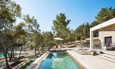 The Beautiful Light 2