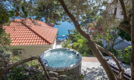 Palms, Pines & Pools 1