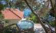 Palms, Pines & Pools 1