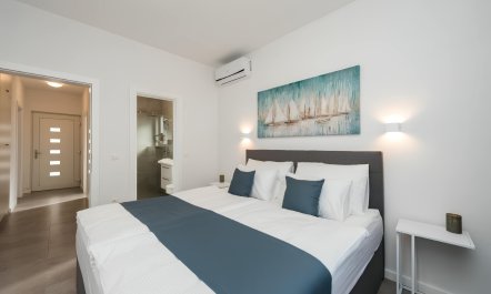 Alpinism & Embellishment 2