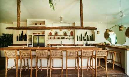 Floating in the Lotus 1