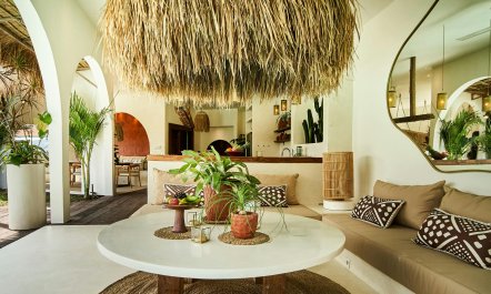 Floating in the Lotus